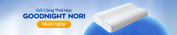 Gối công thái học